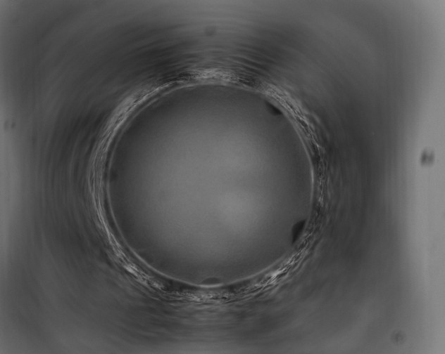 X0000100760241200806191214