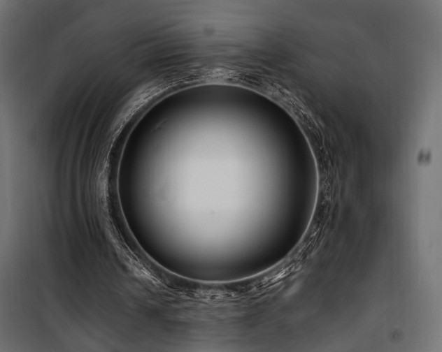 X0000100760242200806191214