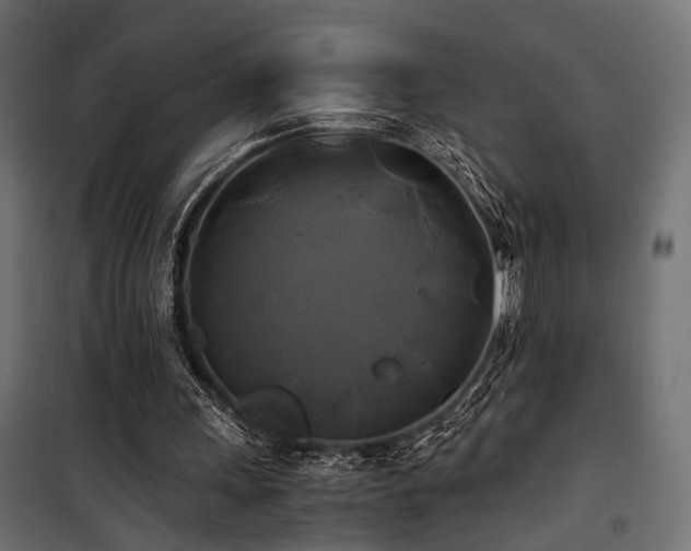 X0000100760243200806191214