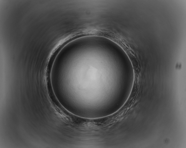 X0000100760244200806191214