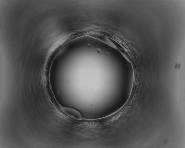 X0000100760245200806191214