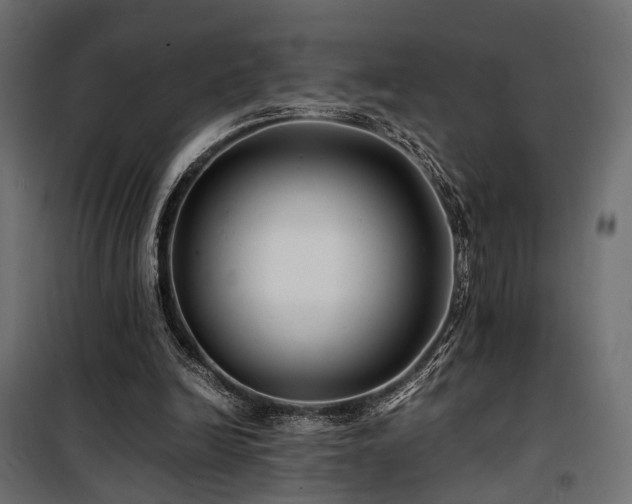 X0000100760246200806191214