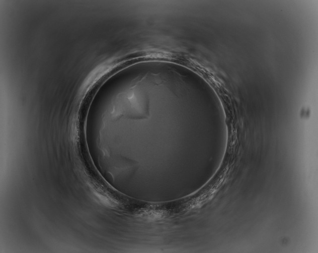 X0000100760247200806191214