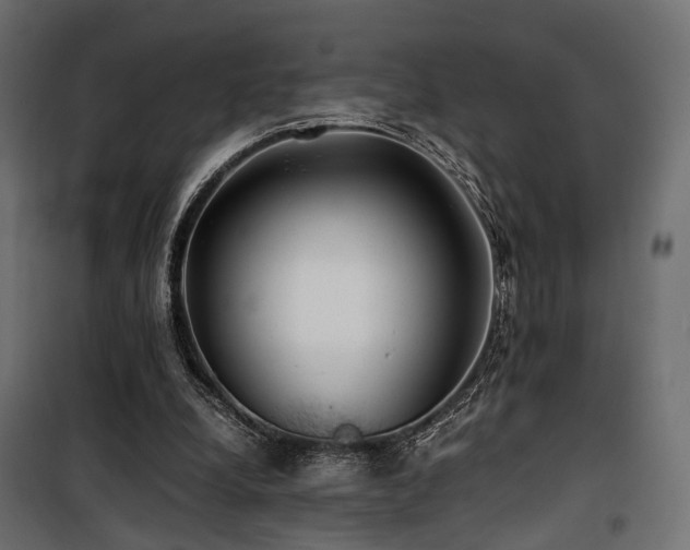 X0000100760248200806191214