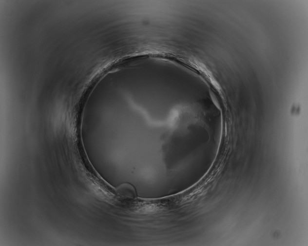 X0000100760249200806191214