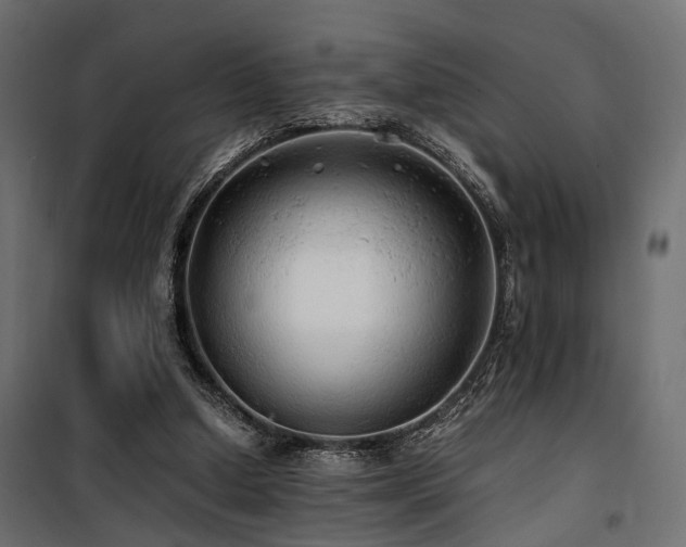 X0000100760250200806191214