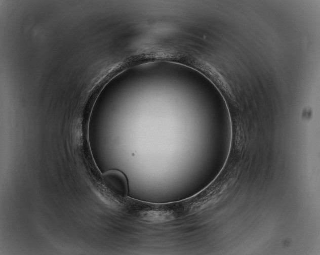 X0000100760251200806191214