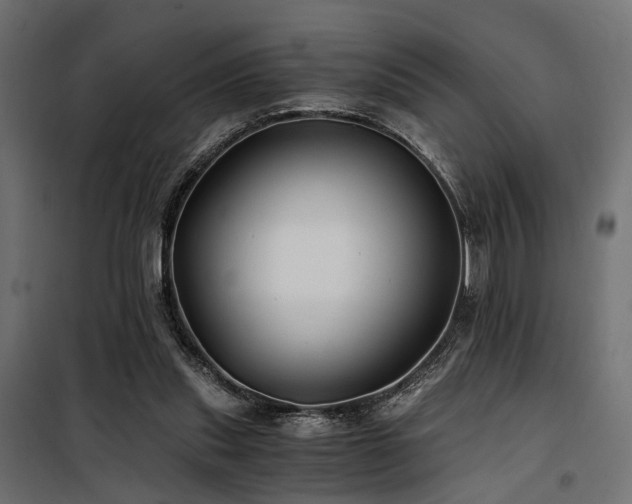 X0000100760253200806191214