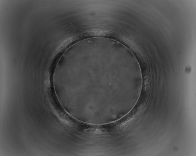 X0000100760254200806191214