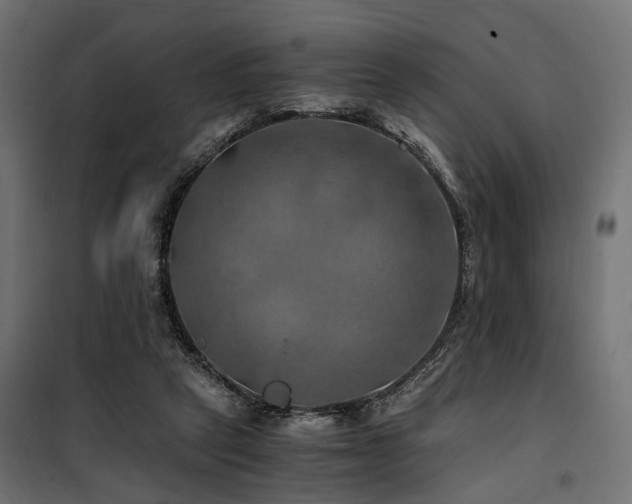 X0000100760257200806191214