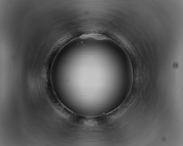 X0000100760258200806191214