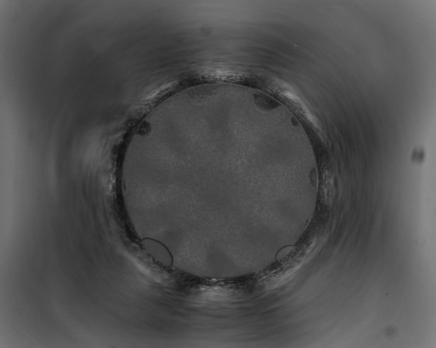 X0000100760259200806191214