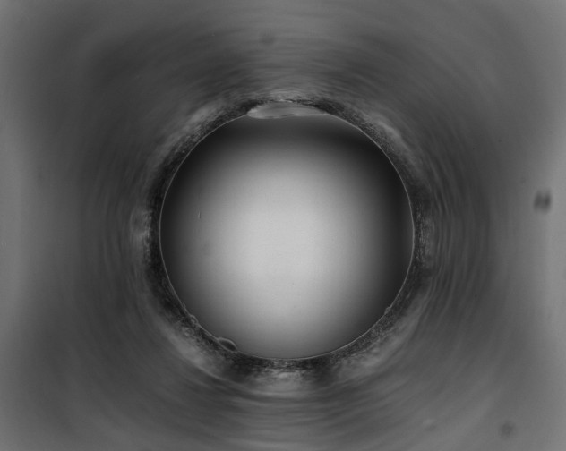 X0000100760260200806191214