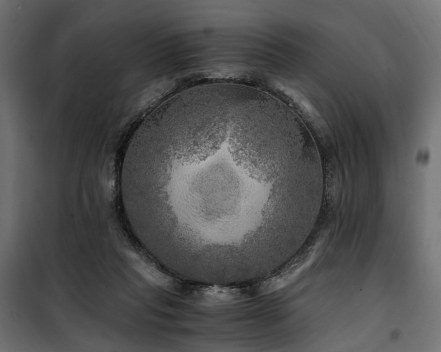 X0000100760261200806191214