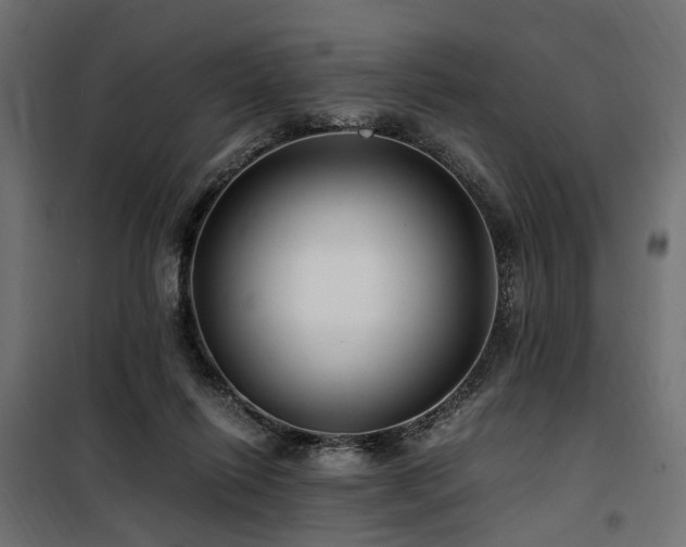 X0000100760262200806191214