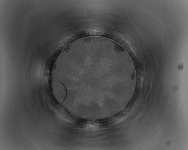 X0000100760263200806191214