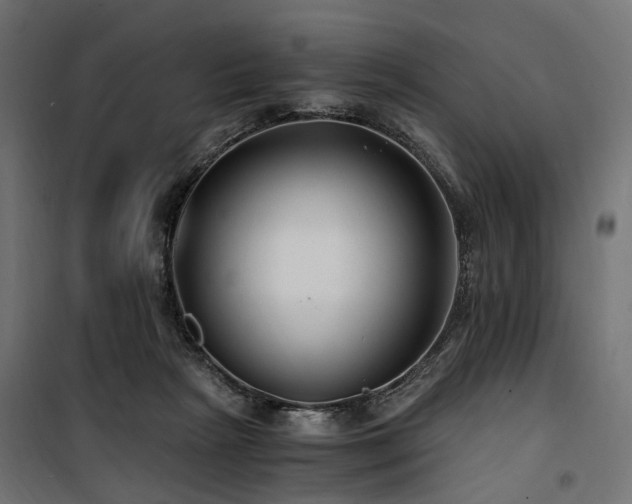 X0000100760265200806191214