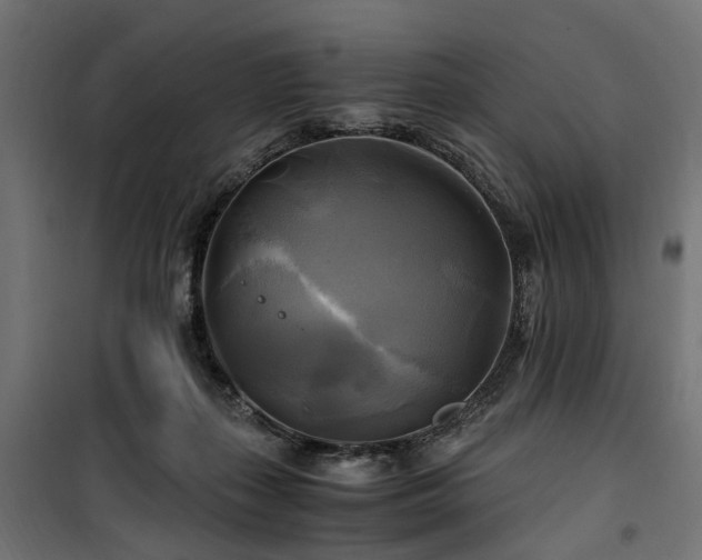 X0000100760267200806191214