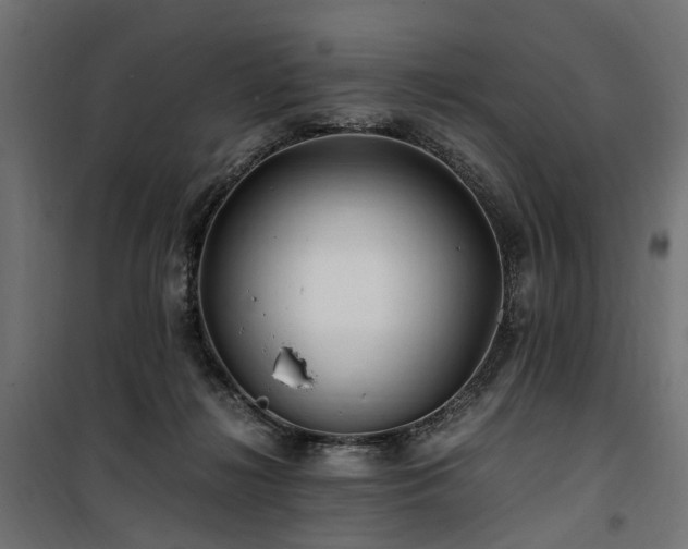 X0000100760268200806191214