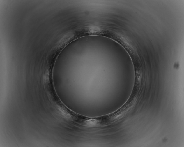 X0000100760269200806191214