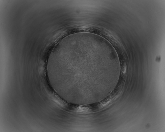 X0000100760270200806191214