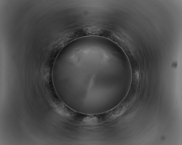 X0000100760271200806191215