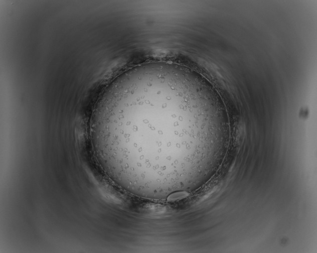 X0000100760272200806191215