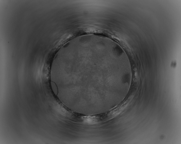 X0000100760273200806191215