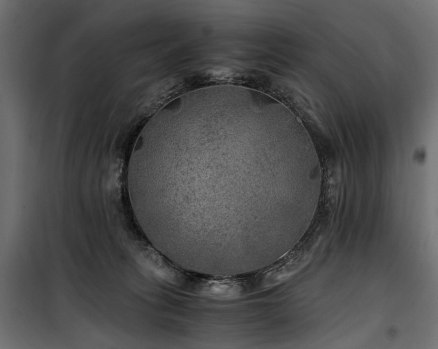 X0000100760275200806191215