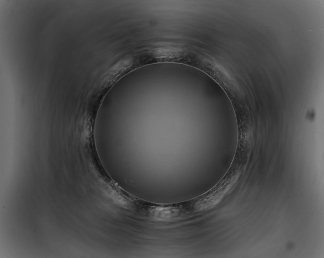 X0000100760277200806191215