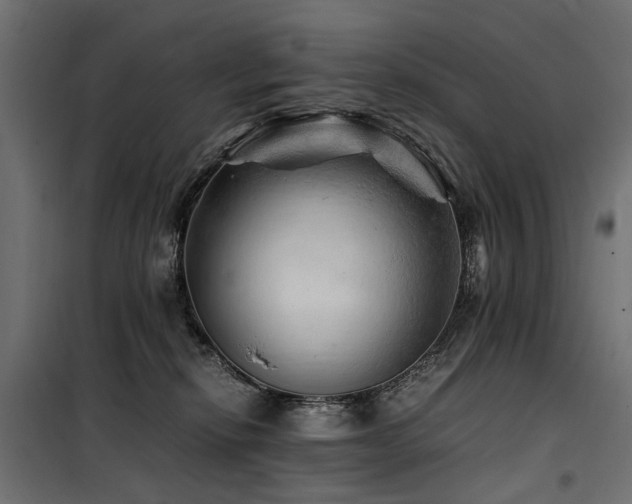 X0000100760278200806191215