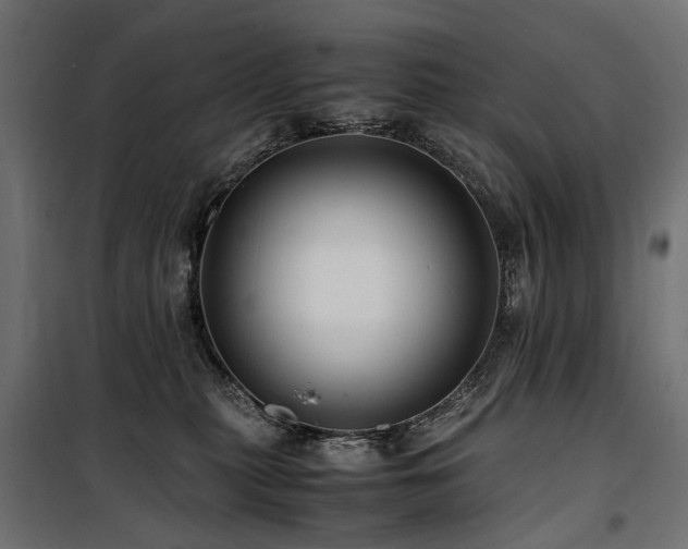 X0000100760279200806191215