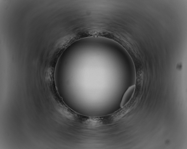 X0000100760280200806191215