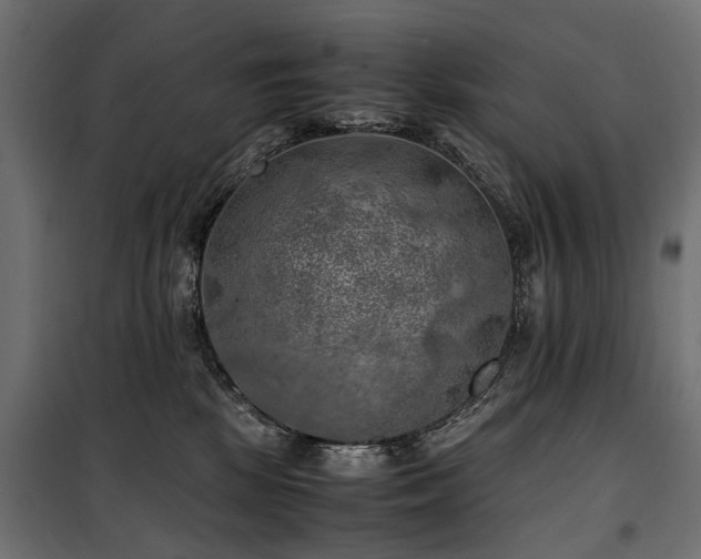 X0000100760281200806191215