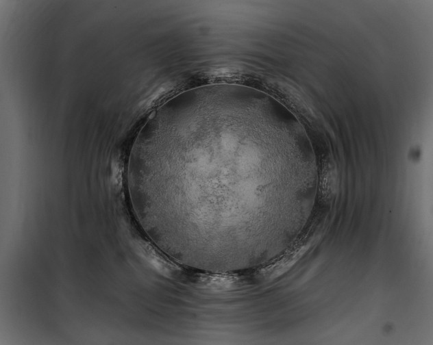 X0000100760282200806191215