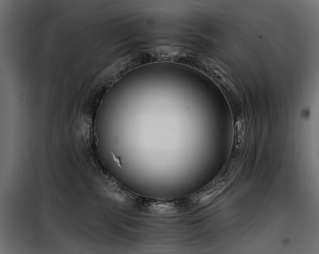 X0000100760283200806191215