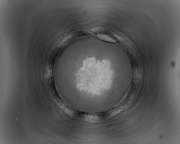 X0000100760284200806191215