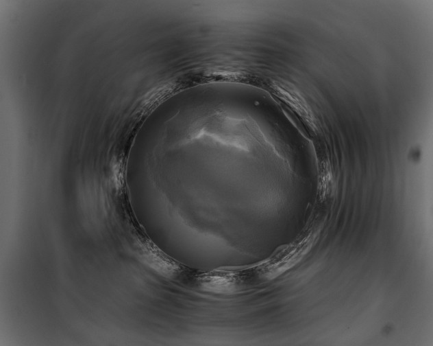 X0000100760285200806191215