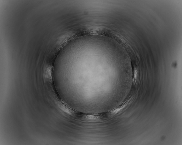 X0000100760286200806191215