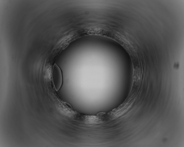 X0000100760287200806191215