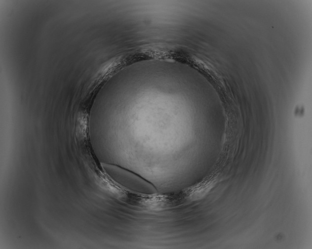 X0000100760288200806191215