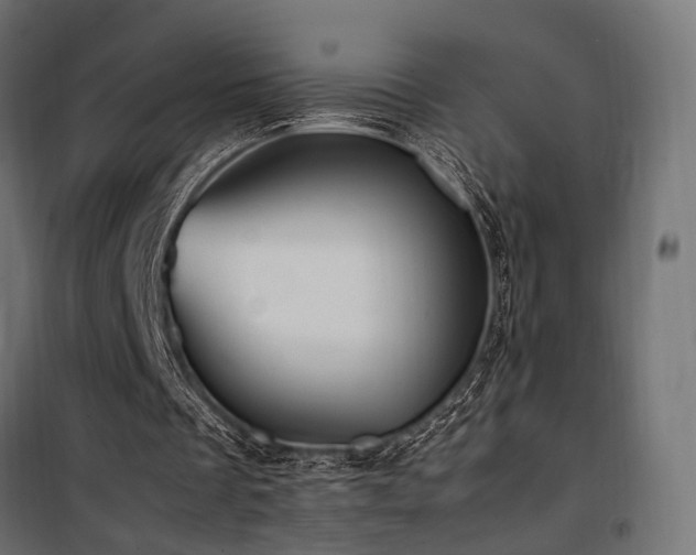 X0000100760289200806191214