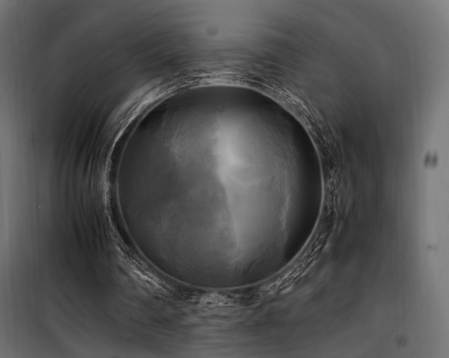 X0000100760290200806191214