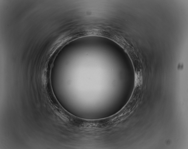 X0000100760291200806191214