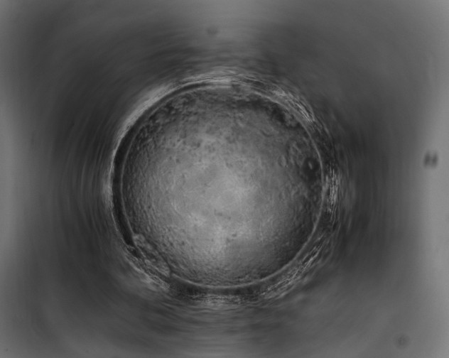 X0000100760292200806191214