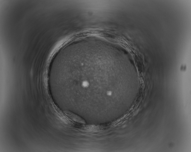 X0000100760293200806191214