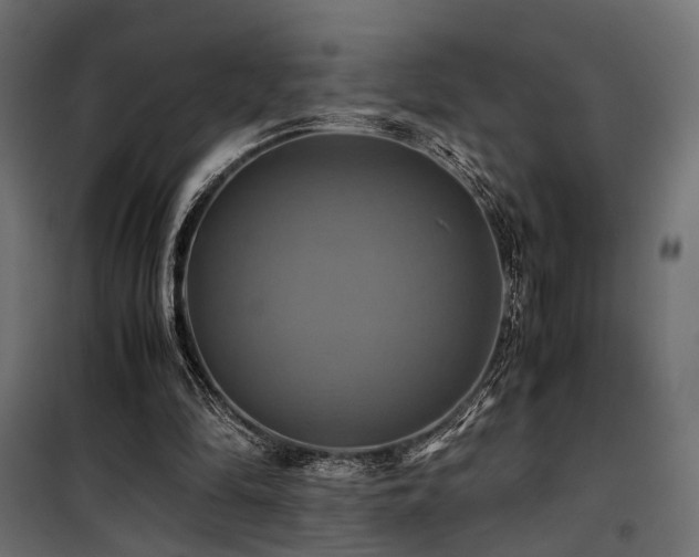 X0000100760294200806191214