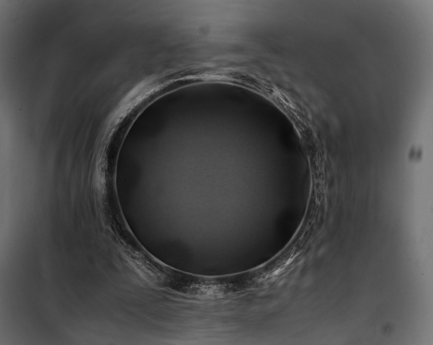 X0000100760295200806191214