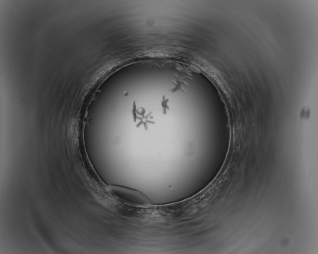 X0000100760297200806191214