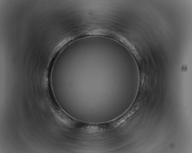 X0000100760298200806191214